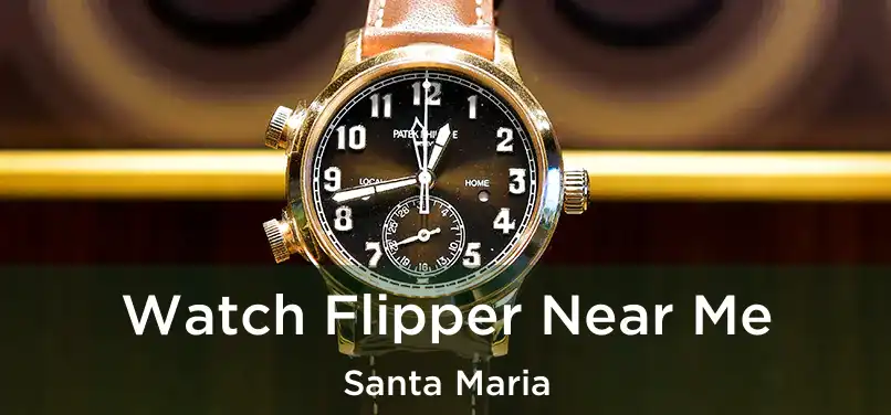 Watch Flipper Near Me Santa Maria